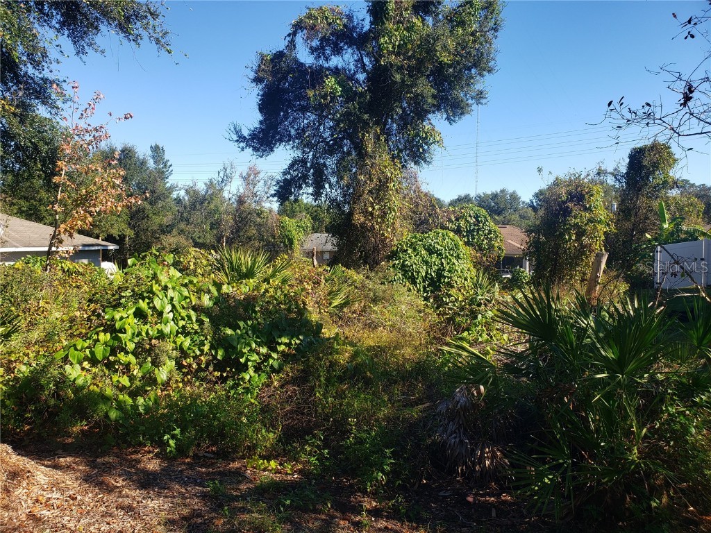 Chestnut Avenue Orange City FL 32763 O6260184 image4