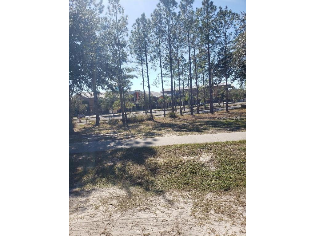 Chestnut Avenue Orange City FL 32763 O6260184 image6