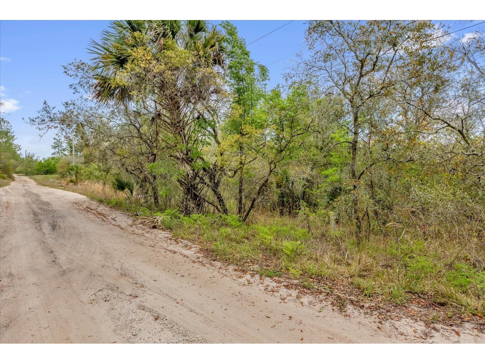 Chestnut Avenue Orange City FL 32763 O6396891 image3