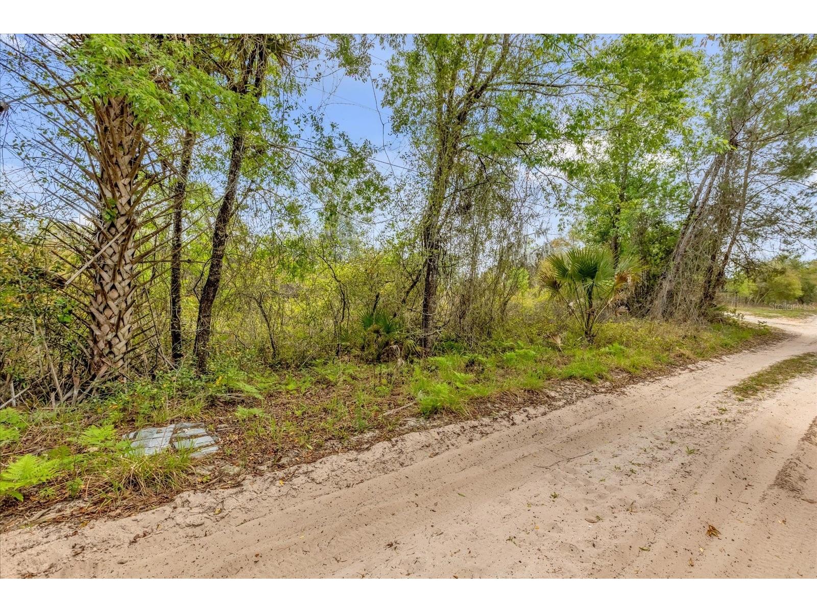 Chestnut Avenue Orange City FL 32763 O6396891 image4