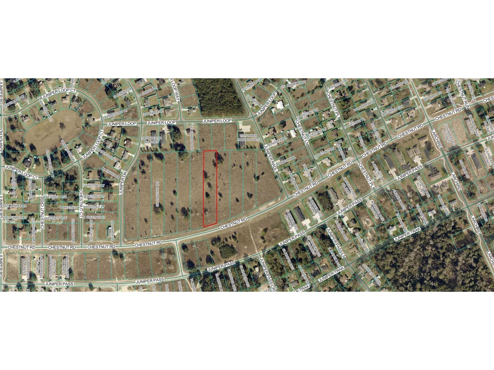 Chestnut Road Ocala FL 34480 OM721675 image1