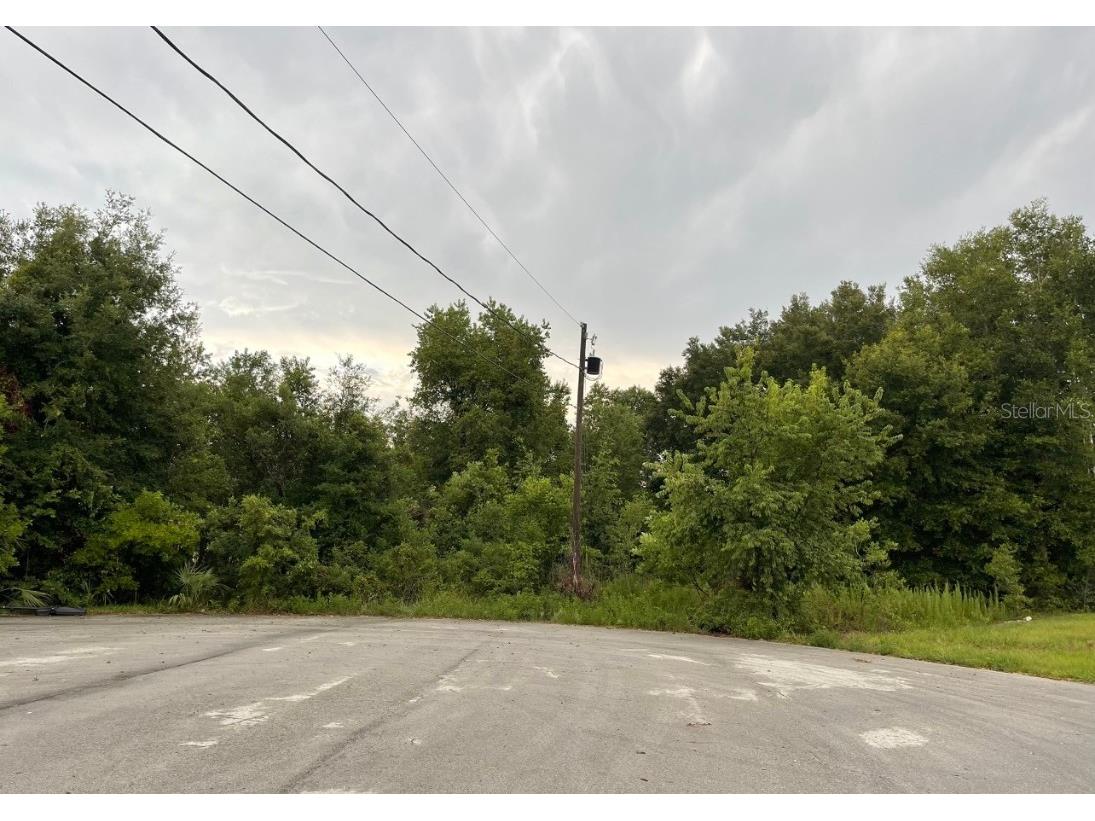 Chestnut Run Court Ocala FL 34480 OM642474 image1