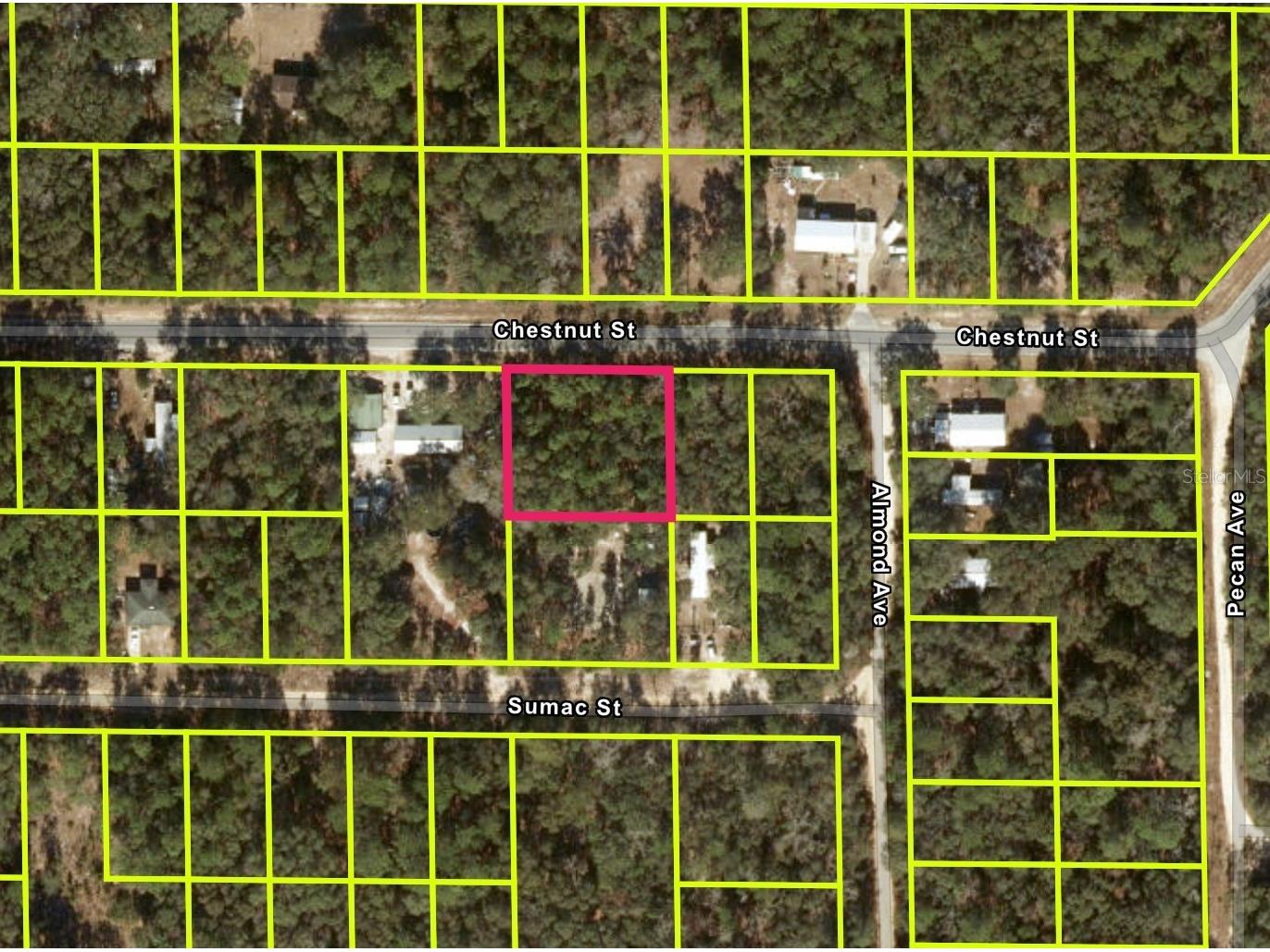 Chestnut Street Interlachen FL 32148 O6346226 image1