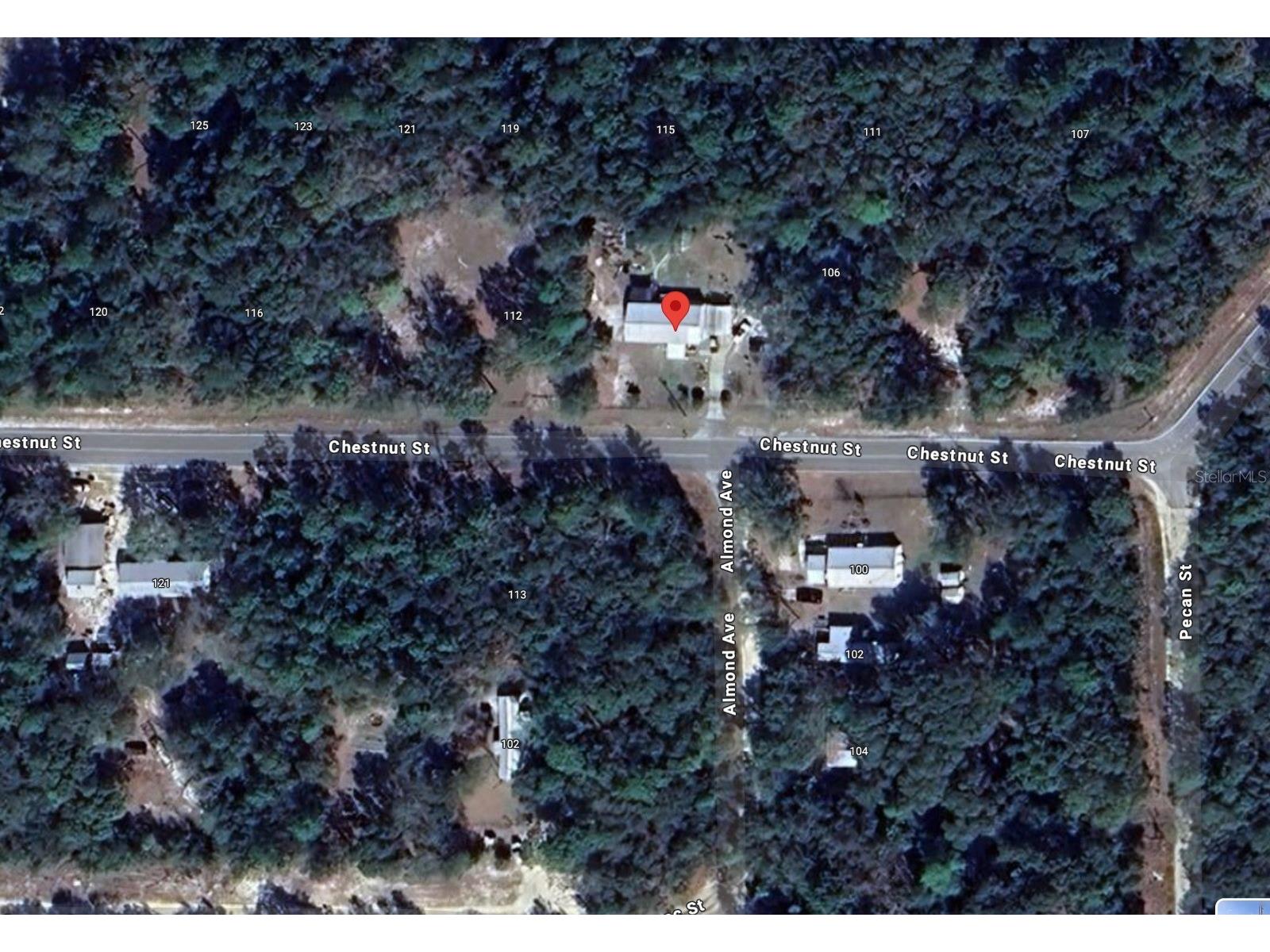 Chestnut Street Interlachen FL 32148 O6346226 image2
