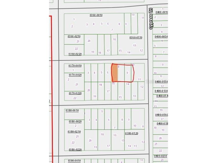 00 Chestnut Trail Interlachen FL 32148 OM651531 image1