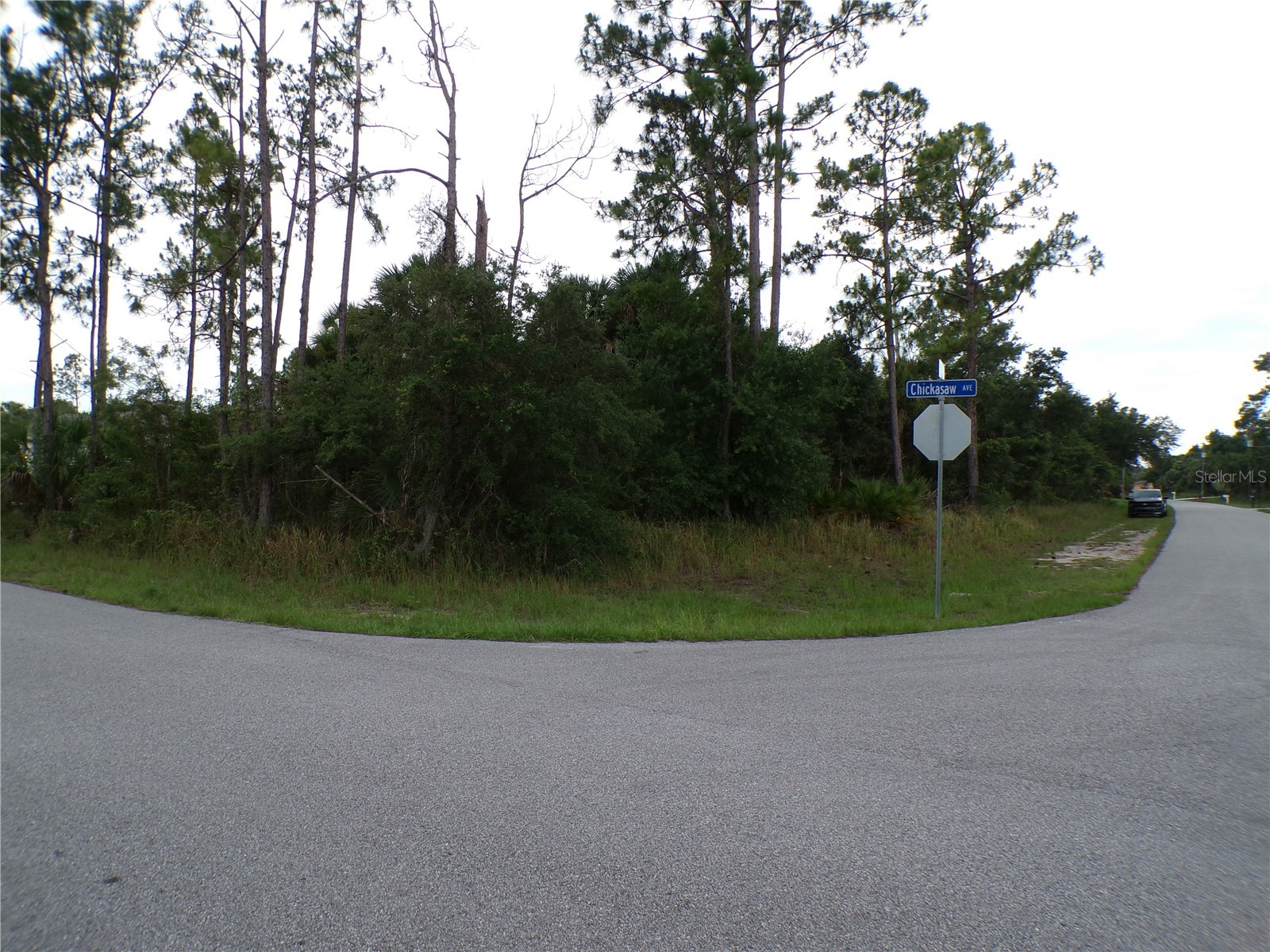 Chickasaw Avenue North Port FL 34288 C7526917 image1