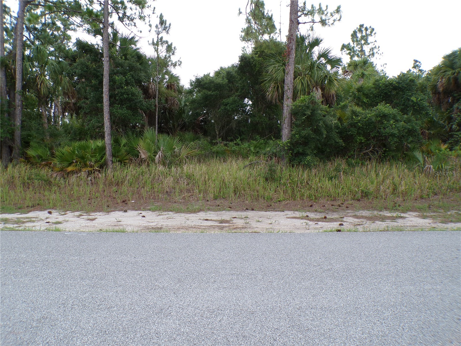 Chickasaw Avenue North Port FL 34288 C7526917 image11