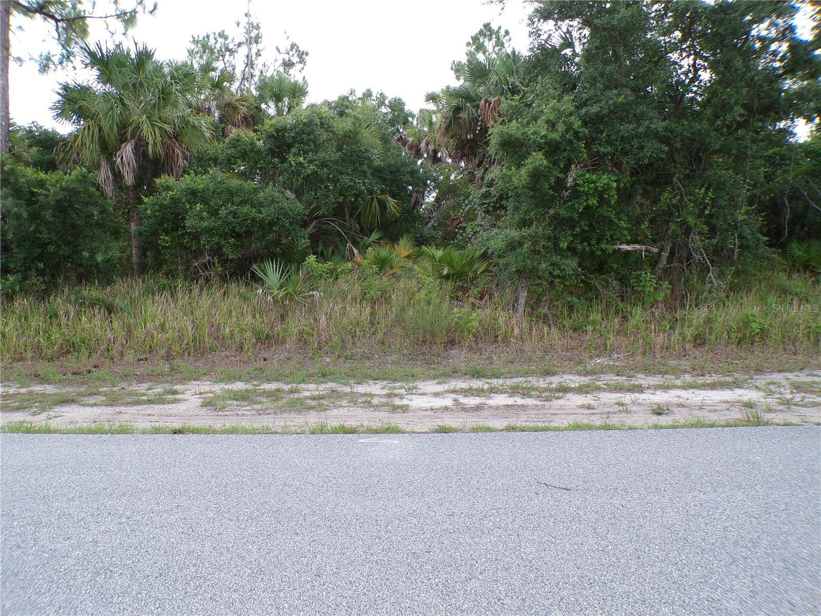Chickasaw Avenue North Port FL 34288 C7526917 image12