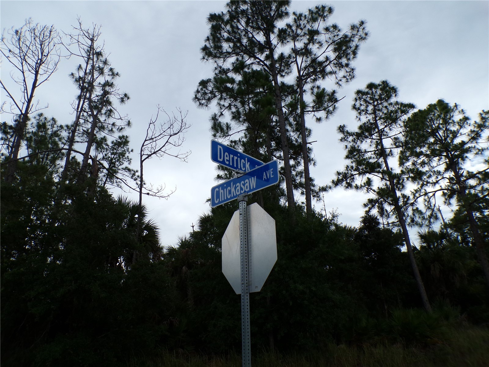 Chickasaw Avenue North Port FL 34288 C7526917 image7