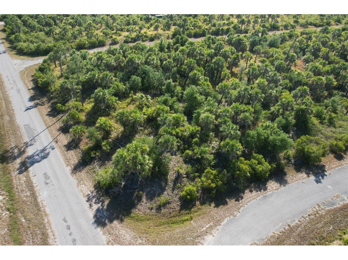 Chile Street North Port FL 34288 N6138761 image6