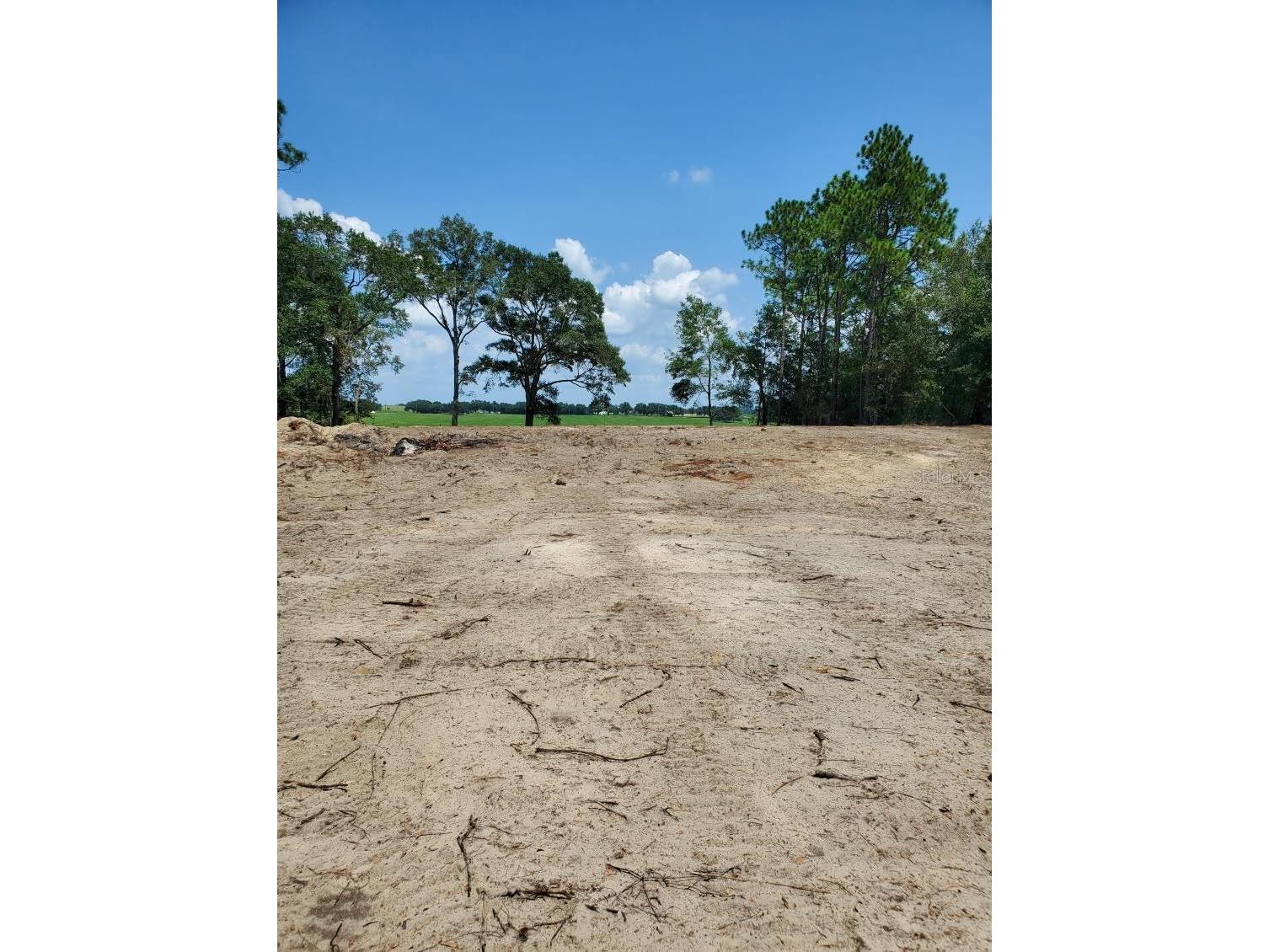 Chilla Dunnellon FL 34431 TB8473215 image1