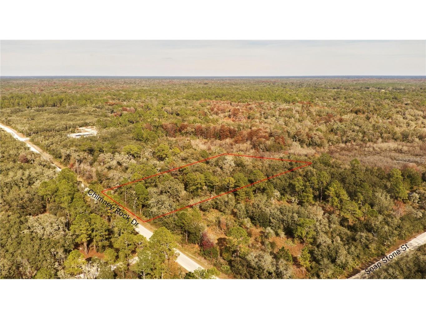 Chimney Rock Drive Webster FL 33597 O6147669 image1