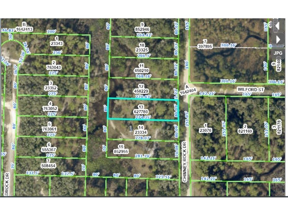 Chimney Rock Drive Webster FL 33597 O6231629 image1