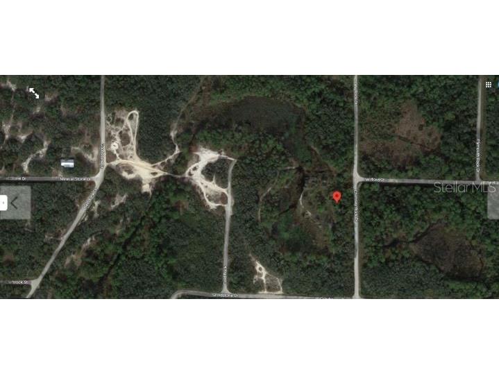 Chimney Rock Drive Webster FL 33597 O6231629 image4