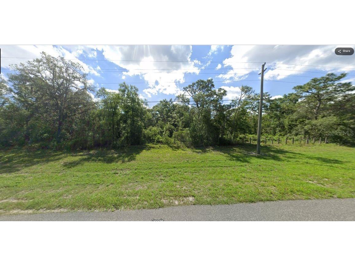 Chimney Rock Drive Webster FL 33597 O6231629 image6