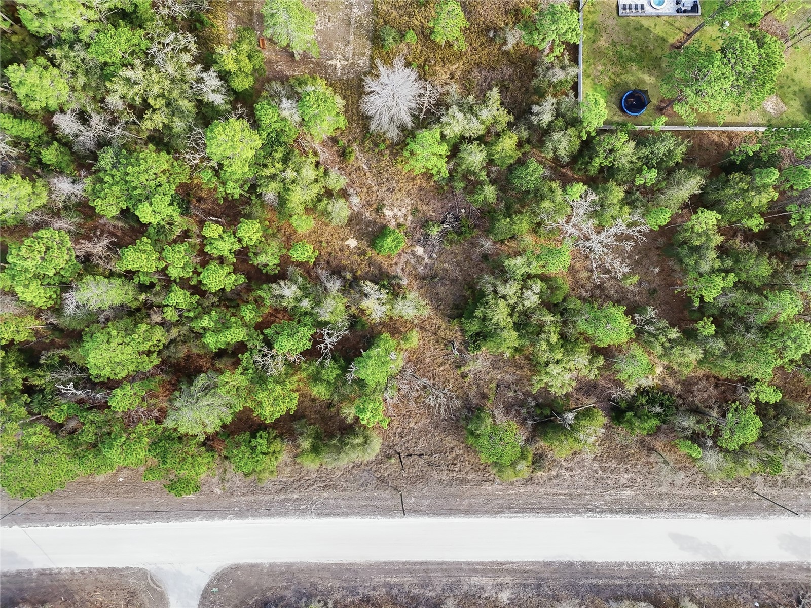 Chimney Swift Road Weeki Wachee FL 34614 W7882961 image11