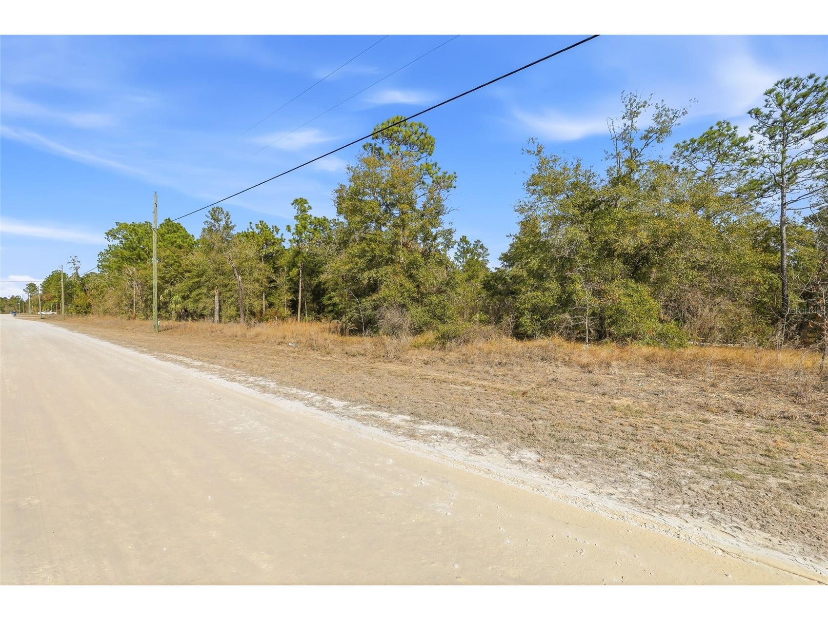 Chimney Swift Road Weeki Wachee FL 34614 W7882961 image3
