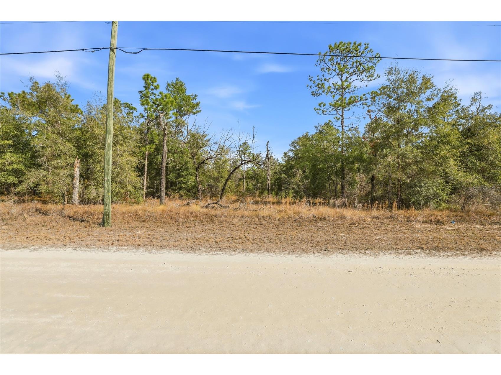 Chimney Swift Road Weeki Wachee FL 34614 W7882961 image4