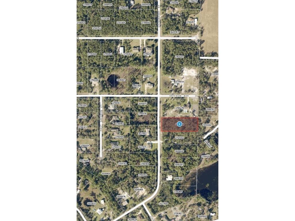 Chinaberry Street Eustis FL 32736 O6111107 image1