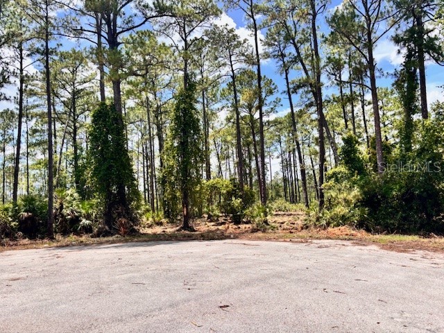 Chinaberry Way Eustis FL 32736 O6350936 image3