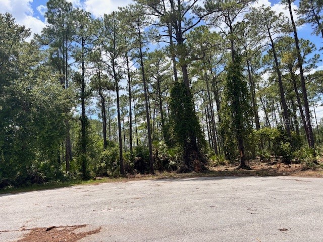 Chinaberry Way Eustis FL 32736 O6350936 image4