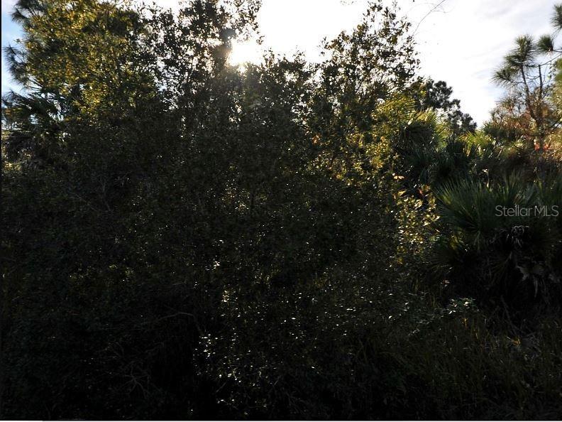 Chinabox Street North Port FL 34288 O6188406 image2