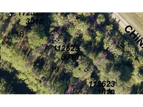 Chinabox Street North Port FL 34288 O6188406 image3