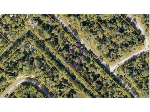 Chinabox Street North Port FL 34288 O6188406 image4