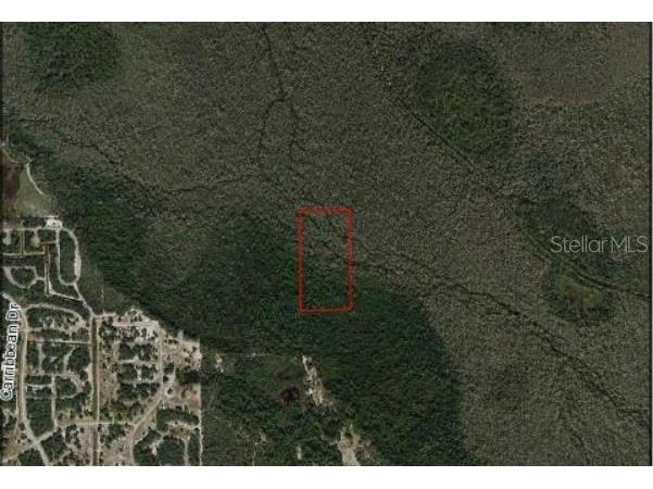 Chinook Road Poinciana FL 34759 O6057580 image1