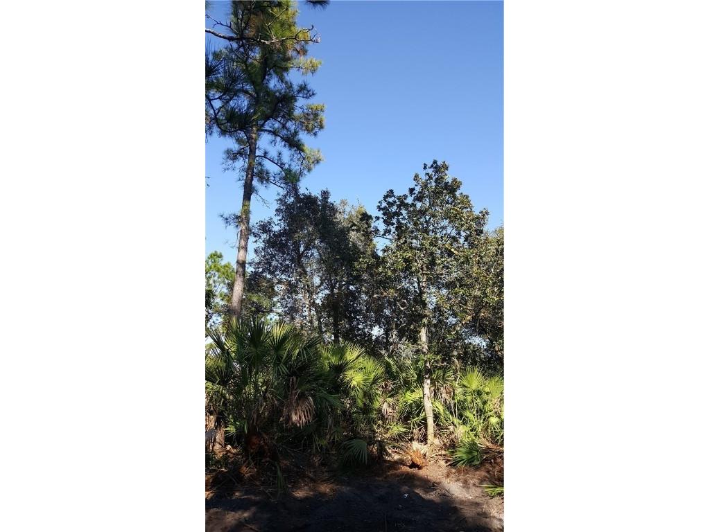 Chippewa Avenue Deland FL 32720 V4918354 image1