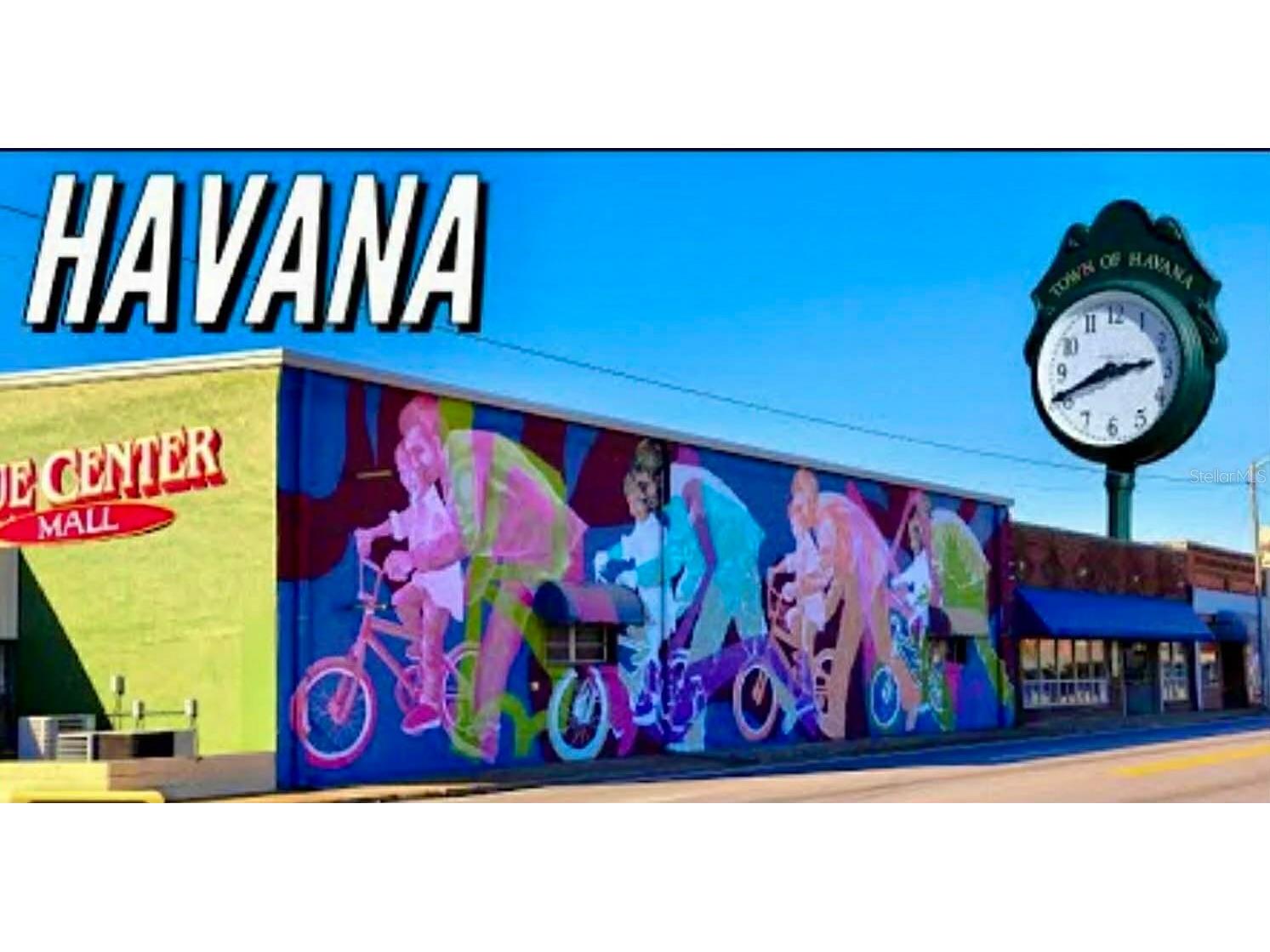 Chippewa Court Havana FL 32333 TB8486285 image8