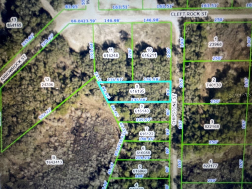 Chipstone Street Webster FL 33597 U8180033 image1