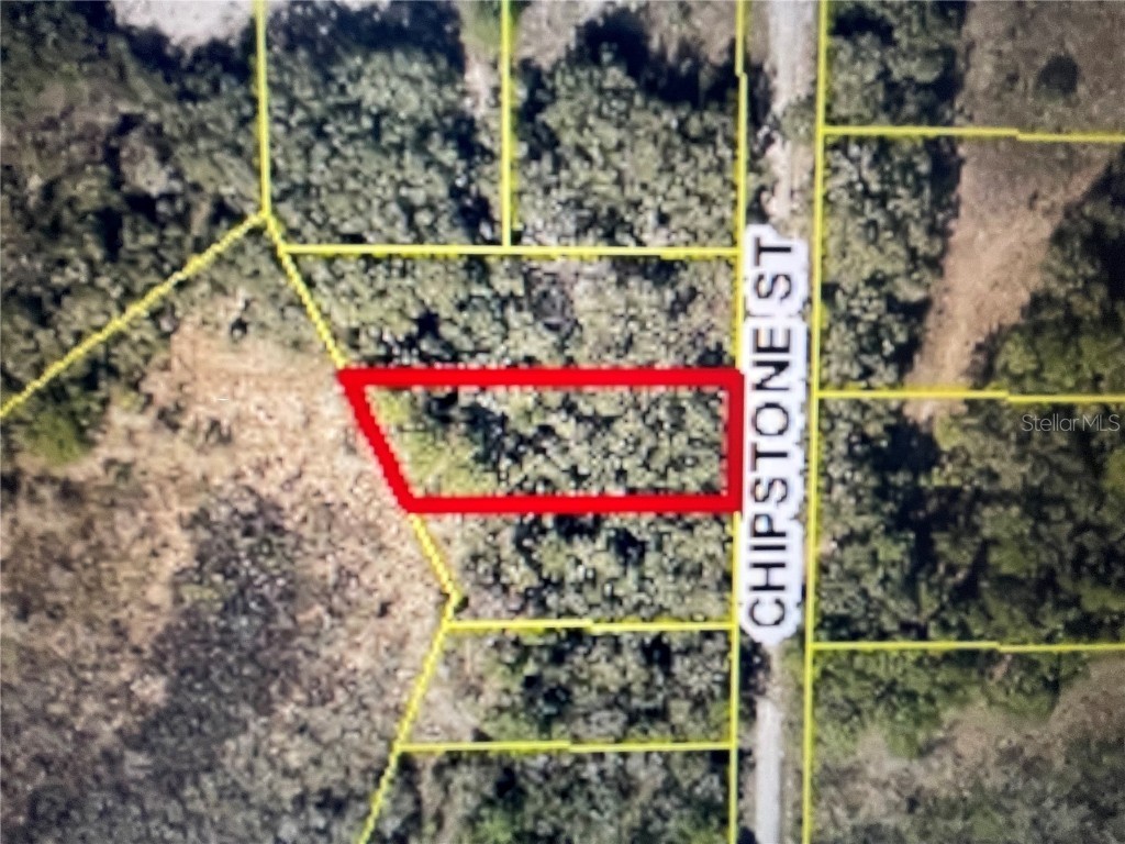 Chipstone Street Webster FL 33597 U8180035 image1