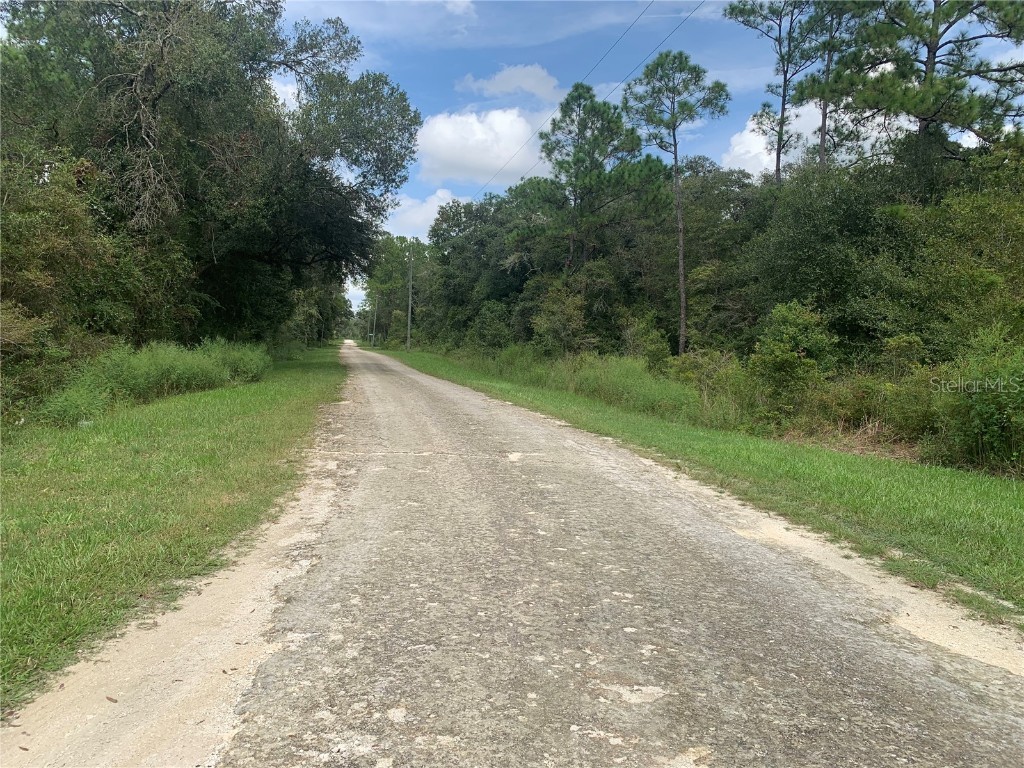 Chipstone Street Webster FL 33597 G5087203 image2