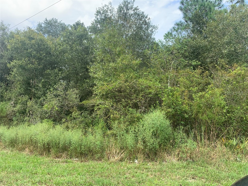 Chipstone Street Webster FL 33597 G5087203 image4