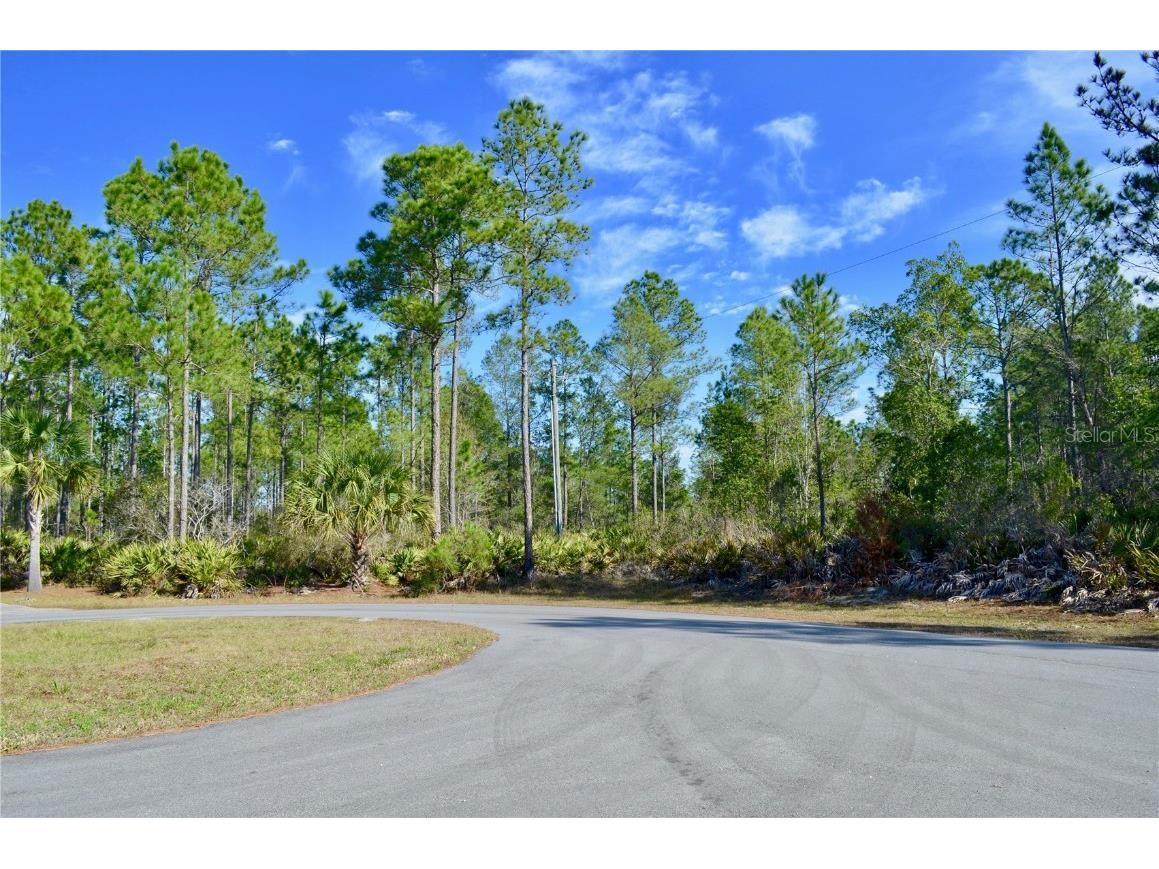 Choctaw Street Deland FL 32720 J971726 image1