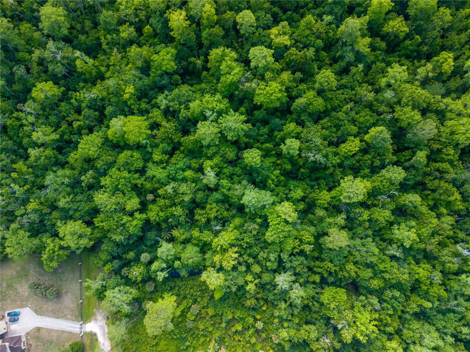 Choctaw Trail Kissimmee FL 34747 O6407653 image18