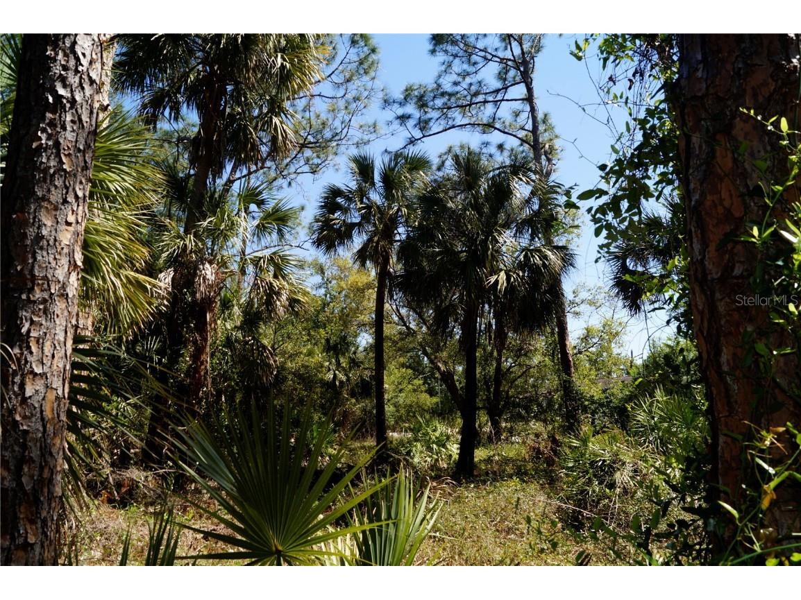 Chorley Avenue North Port FL 34291 OM697548 image8