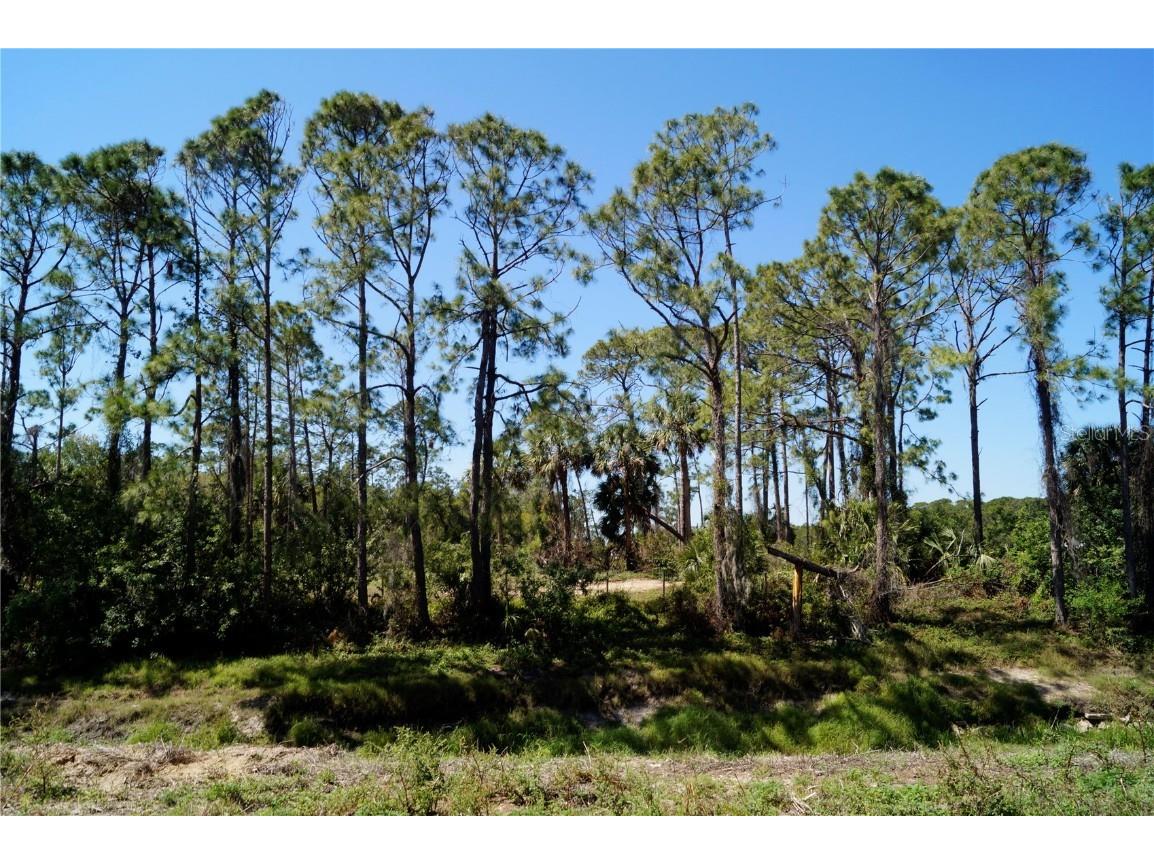 Chorley Avenue North Port FL 34291 OM697548 image9