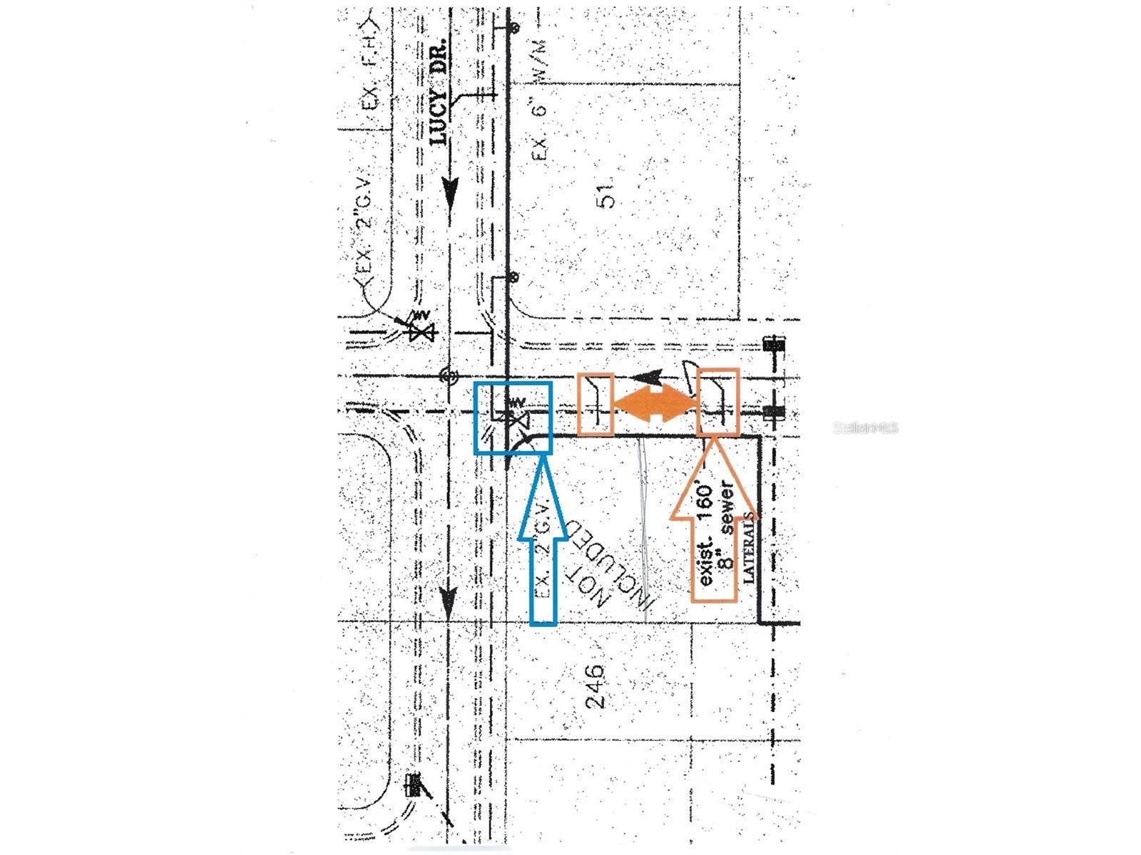 Chris Dr. Wesley Chapel FL 33543 TB8503909 image3