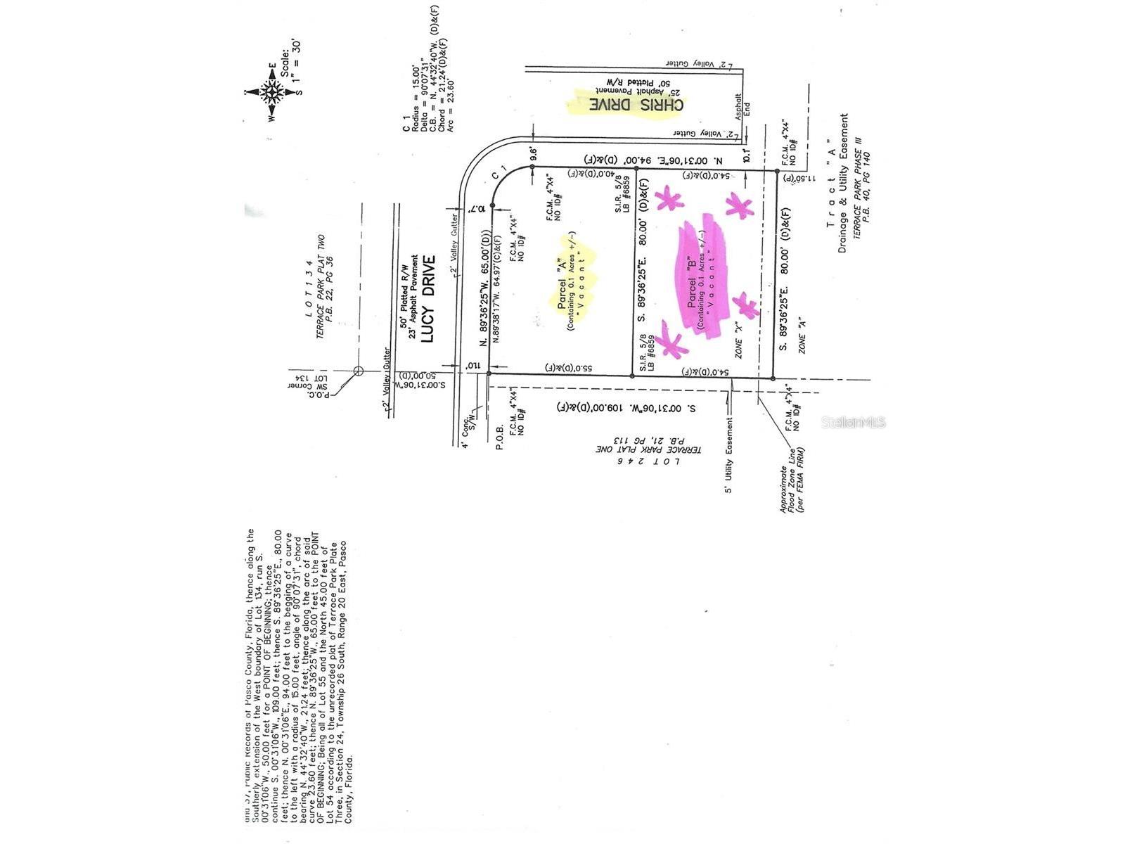 Chris Dr. Wesley Chapel FL 33543 TB8503909 image4