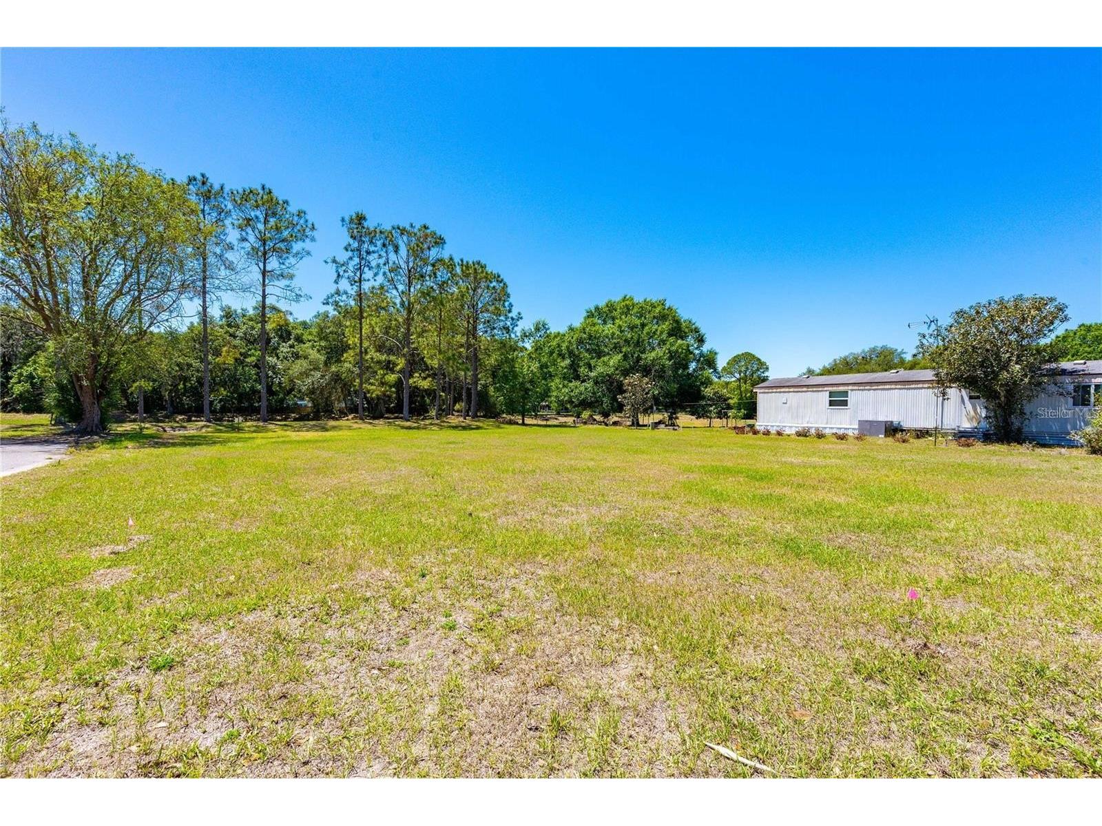 Chris Dr. Wesley Chapel FL 33543 TB8504245 image1