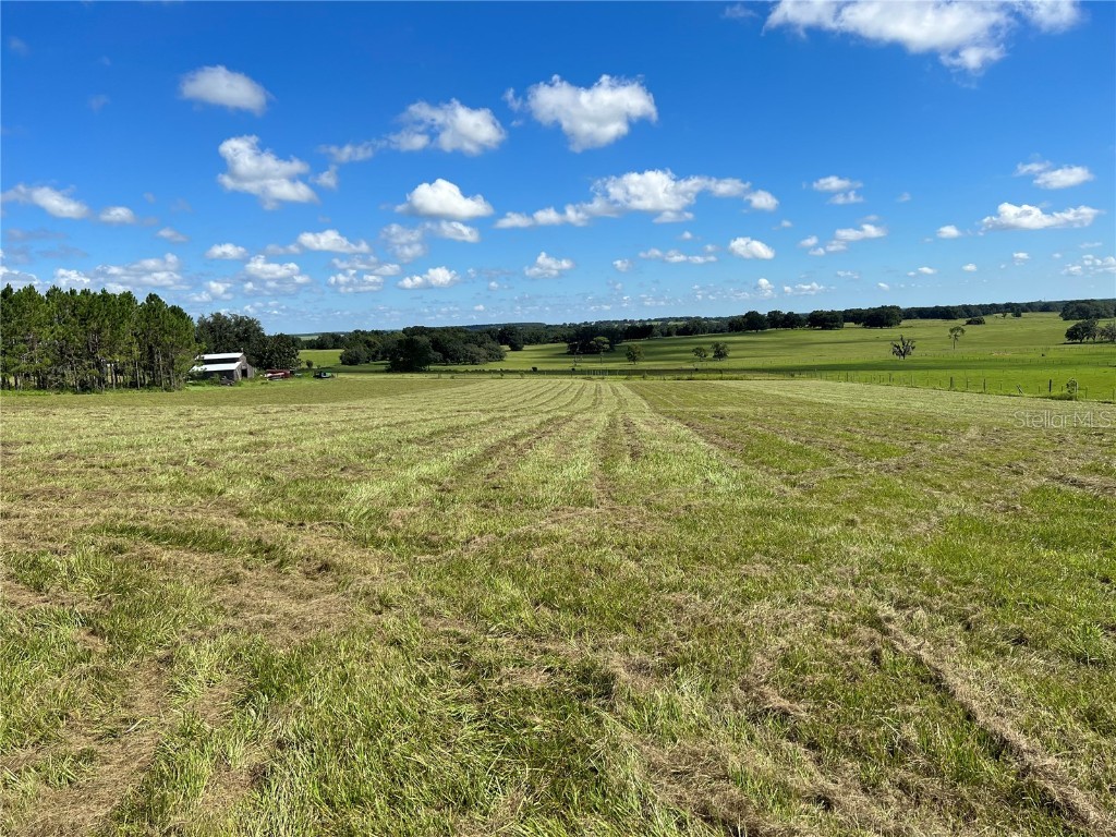 Christian Road Dade City FL 33523 T3370766 image1