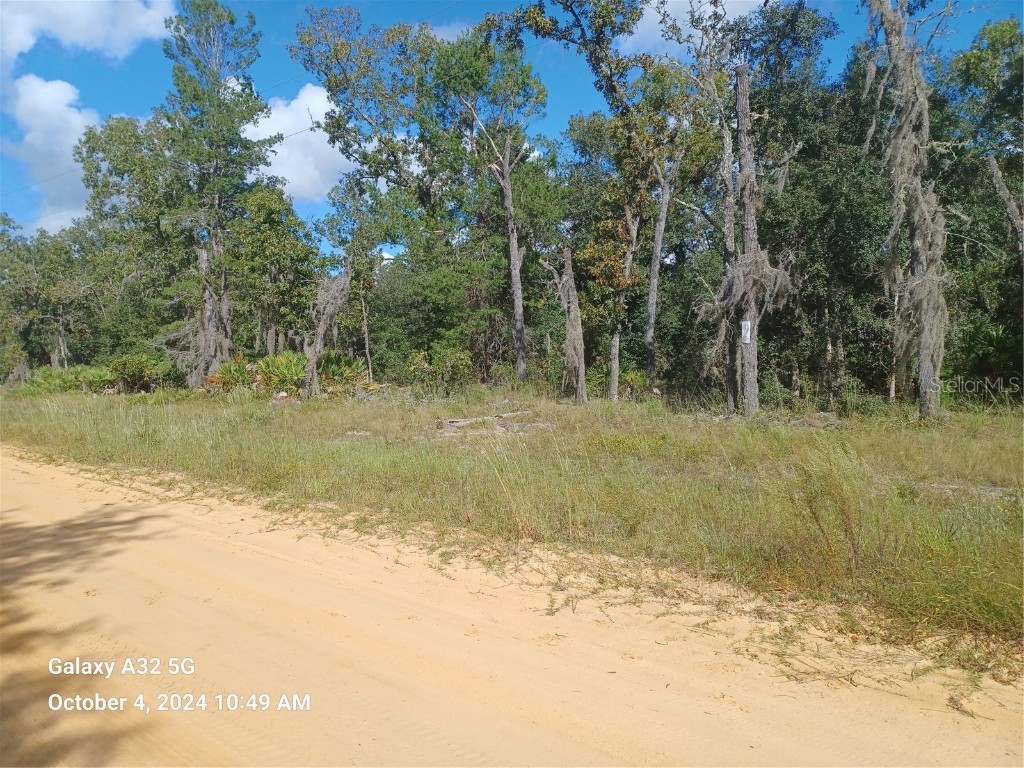 Churchill St Interlachen FL 32148 NS1081951 image1