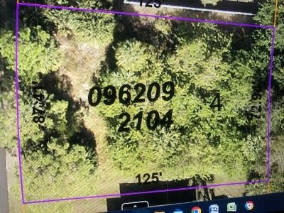 Cincinnati Street North Port FL 34286 T3421877 image1