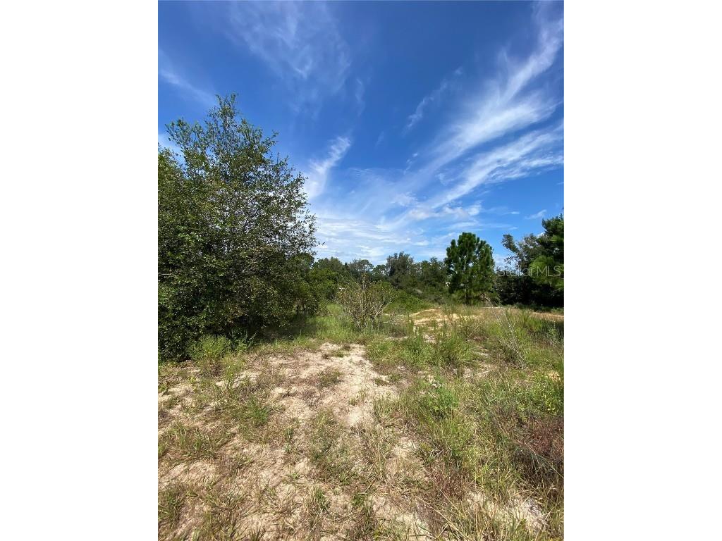 Circle Way Leesburg FL 34788 O6143197 image1