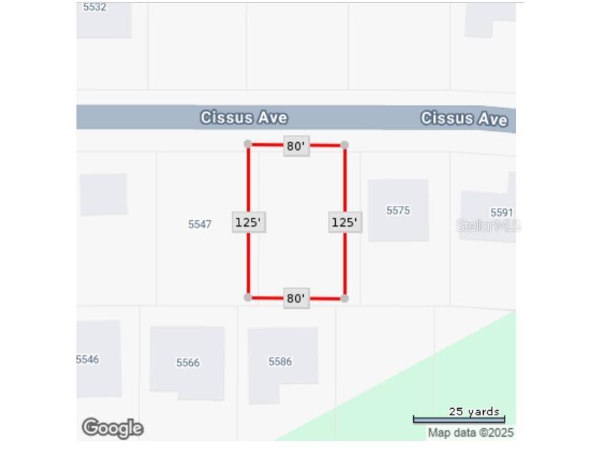 Cissus Avenue North Port FL 34288 A4671331 image3