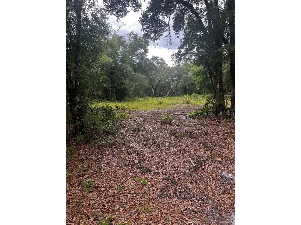 Citadel Drive Webster FL 33597 T3533791 image1