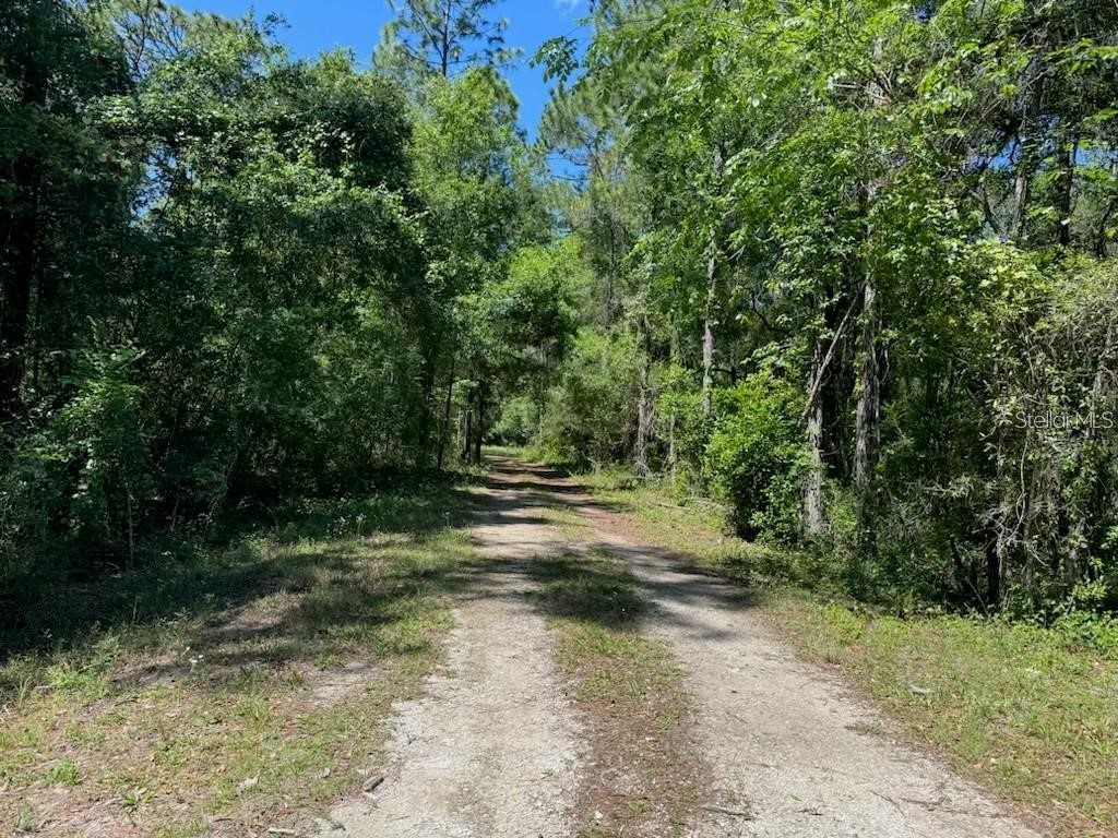 Citadel Drive Webster FL 33597 TB8513630 image1