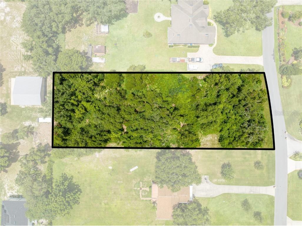 Citrus Oak Saint Cloud FL 34771 S5130835 image5